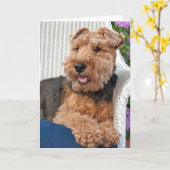 Denken Sie an Sie-Welsh Terrier auf Korbstühlen Karte (Gelbe Blume)
