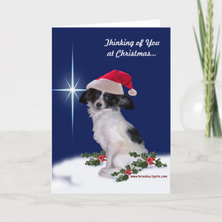 "Denken Sie an Sie zu Weihnachten" Papillon Card Feiertagskarte