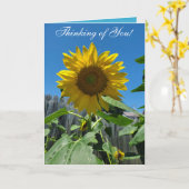 Denken Sie an Sonnenblumenfotografie Karte (Gelbe Blume)