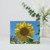 Denken Sie an Sonnenblumenfotografie Postkarte (Stehend Vorderseite)
