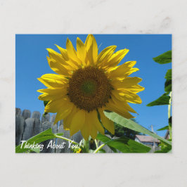 Denken Sie an Sonnenblumenfotografie Postkarte