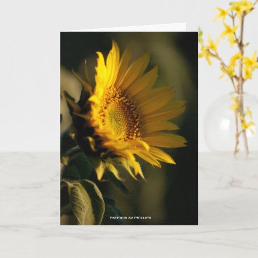 Denken Sie an Sonnenblumenlicht FotoTemplate Karte (Gelbe Blume)