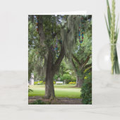 Denken Sie an spanisches Moos und Perlen Karte (Vorderseite)