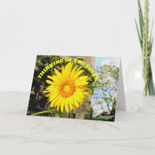 DENKEN SIE AN SUNFLOWER Faltenkarte Grußkarte Karte
