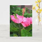 Denken Sie an Tropisch Pink Hibiskus Lizard Karte (Gelbe Blume)