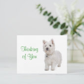 Denken Sie an Westie Puppy Dog Gruß Postkarte (Stehend Vorderseite)