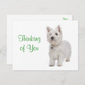 Denken Sie an Westie Puppy Dog Gruß Postkarte (Vorne/Hinten)