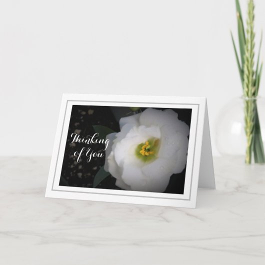 Denken Sie an White Lisianthus Karte (Vorderseite)
