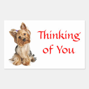 Denken Sie an Yorkshire Terrier Dog Stickers
