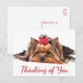 Denken Sie an Yorkshire Terrier Puppy Dog Hallo Postkarte (Vorne/Hinten)