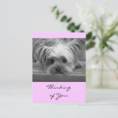Denken Sie an Yorkshire Terrier Puppy Post Card Postkarte (Stehend Vorderseite)