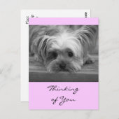 Denken Sie an Yorkshire Terrier Puppy Post Card Postkarte (Vorne/Hinten)