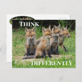 Denken Sie anders Fox Postkarte (Vorne/Hinten)