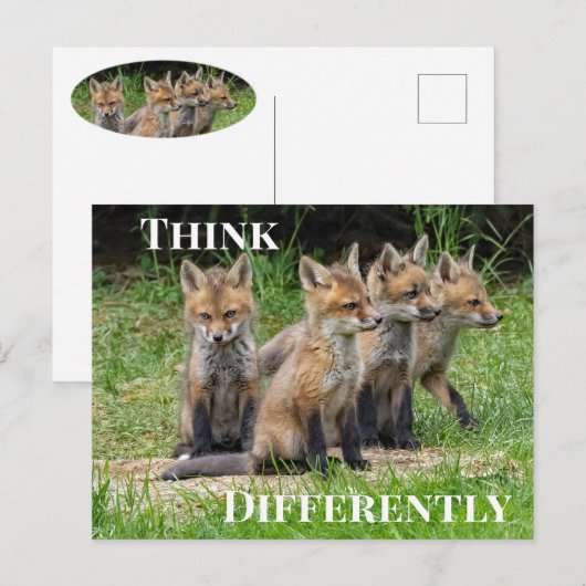Denken Sie anders Fox Postkarte (Vorne/Hinten)