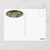 Denken Sie anders Fox Postkarte (Rückseite)