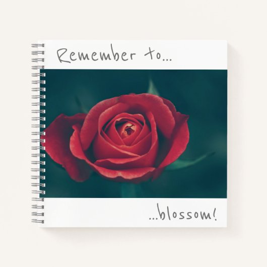 Denken Sie daran, blühen Rote Rose Blume Notebook Notizblock (Vorderseite)