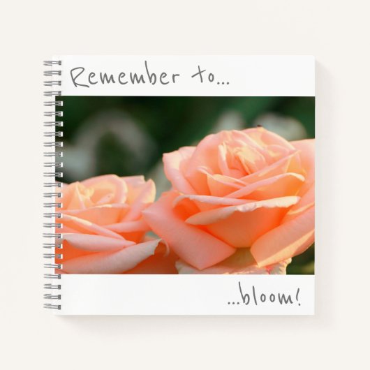 Denken Sie daran, Cream Rose Blume Notebook zu blü Notizblock (Vorderseite)