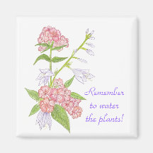 Denken Sie daran, die Pflanze Magnet zu gießen