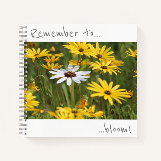 Denken Sie daran, gelb-weiße Blume Notebook zu blü Notizblock (Vorderseite)