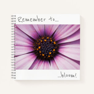 Denken Sie daran, Osteospermum Blume Notebook blüh Notizblock