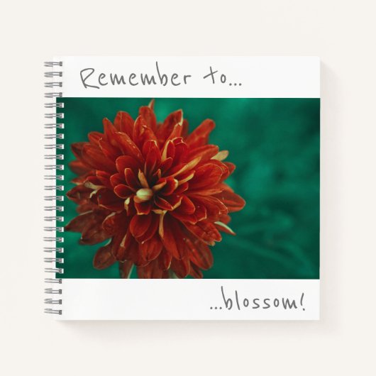 Denken Sie daran, Red Chrysanthemum Notebook blühe Notizblock (Vorderseite)