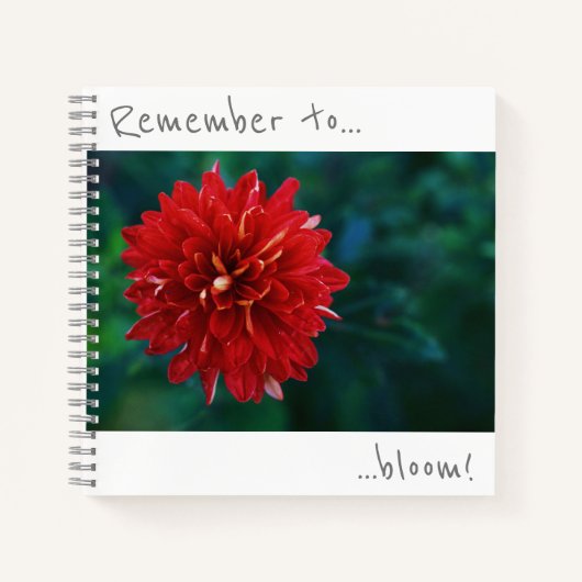 Denken Sie daran, Red Chrysanthemum Notebook zu bl Notizblock (Vorderseite)