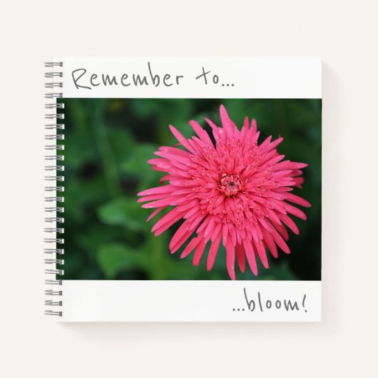 Denken Sie daran, rosa Chrysanthemum-Notebook zu b Notizblock (Vorderseite)