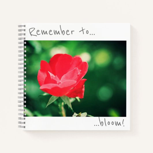 Denken Sie daran, Rote Rose Blume Notebook zu blüh Notizblock (Vorderseite)