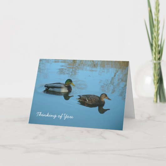 Denken Sie | Enten Karte (Vorderseite)