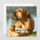 Denken Sie Feiertagskarte (Vorne/Hinten)