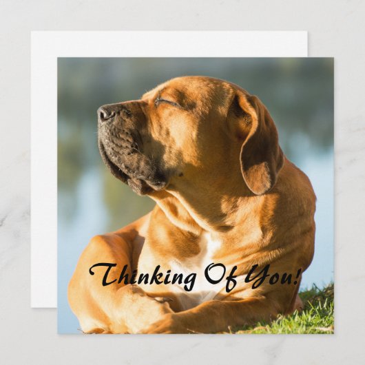 Denken Sie Feiertagskarte (Vorne/Hinten)