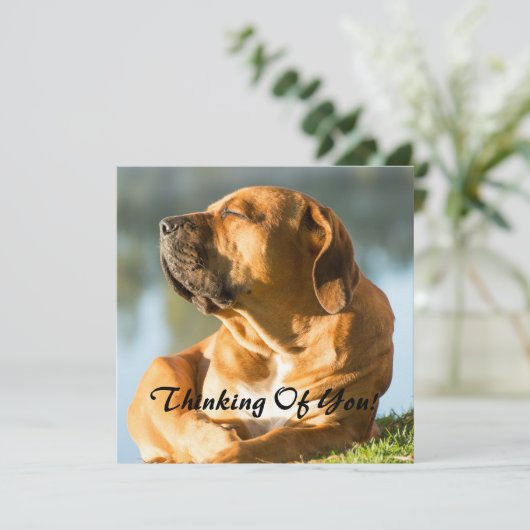 Denken Sie Feiertagskarte (Stehend Vorderseite)