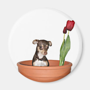 denken Sie Frühling! Magnet