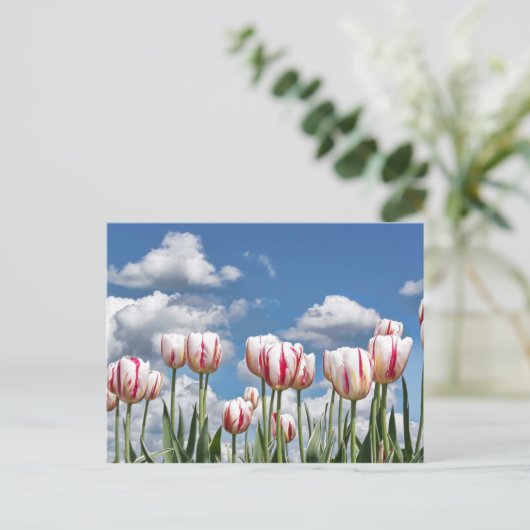 Denken Sie Frühling! Postkarte (Stehend Vorderseite)