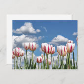 Denken Sie Frühling! Postkarte (Vorne/Hinten)