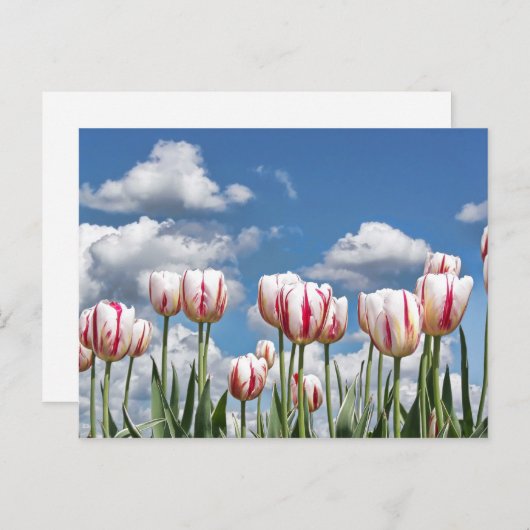 Denken Sie Frühling! Postkarte (Vorne/Hinten)