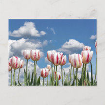 Denken Sie Frühling!