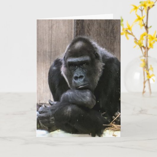 DENKEN SIE GORILLA GREETING CARDS KARTE (Gelbe Blume)