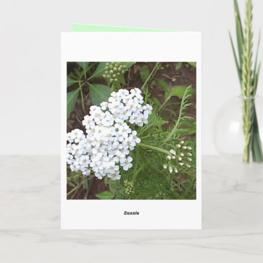 Denken Sie Karte (Rückseite)