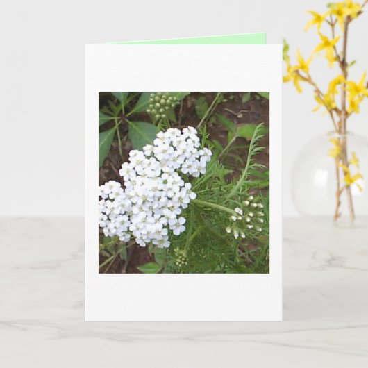 Denken Sie Karte (Gelbe Blume)