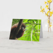 Denken Sie Karte (Gelbe Blume)