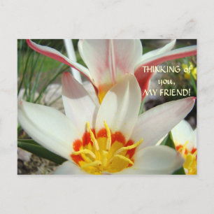 DENKEN SIE, MEIN FREUND! Post Card Tulip Blume Postkarte