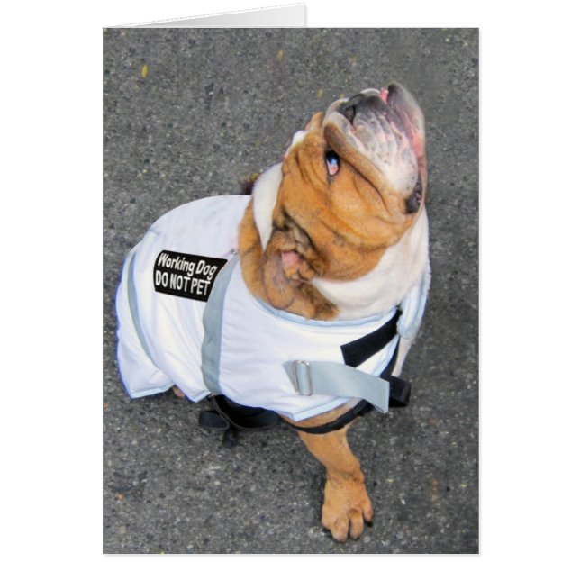 Denken Sie Positiv (Vorne)