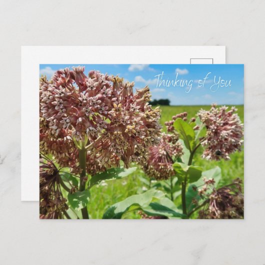 Denken Sie Postkarte (Vorne/Hinten)