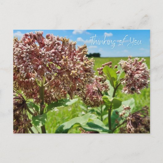 Denken Sie Postkarte (Vorderseite)