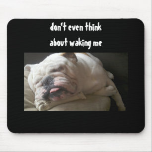 DENKEN SIE SOGAR DARAN, DASS ES MOUSEPAD IST