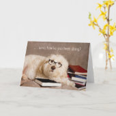 DENKEN SIE - Studios Hund in Reading Brillen Karte (Gelbe Blume)