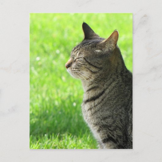 Denken ... von Ihnen ... Postkarte (Vorderseite)