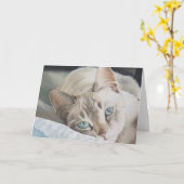 "Denkend an Sie" kardieren Sie Karte (Gelbe Blume)