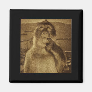 Denkender Affe Meme Vintage Retro Magnet